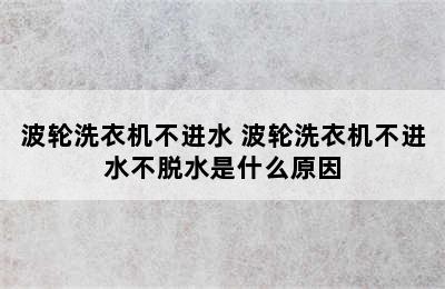 波轮洗衣机不进水 波轮洗衣机不进水不脱水是什么原因